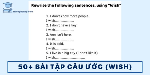 Bài tập Wish có đáp án