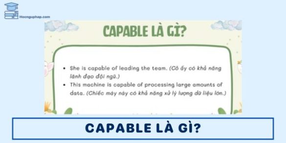 Capabable Capable đi với giới từ gì – Cấu trúc, cách dùng và bài tập