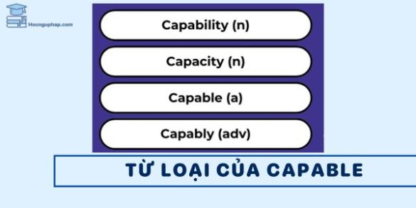 Capabable Capable đi với giới từ gì – Cấu trúc, cách dùng và bài tập